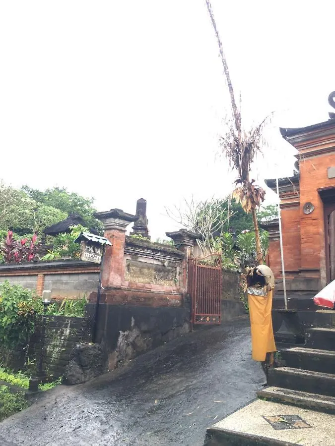 Guest house Malini Homestay Ubud